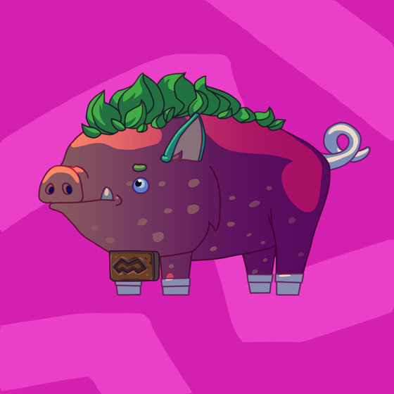 Pig #0343