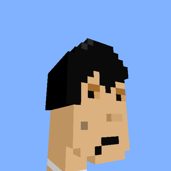 PunkVoxels #8385