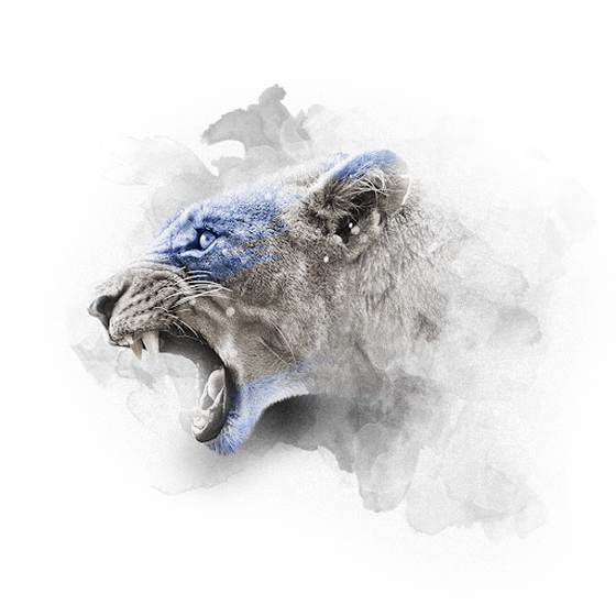 BLUE SERIES - LIONESS