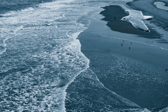 Across the Sea