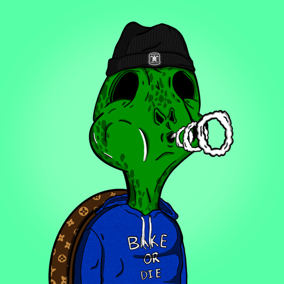 Baked Shellz #7424