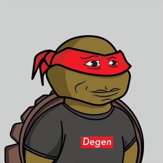 Degen Ninja Turtle #2353