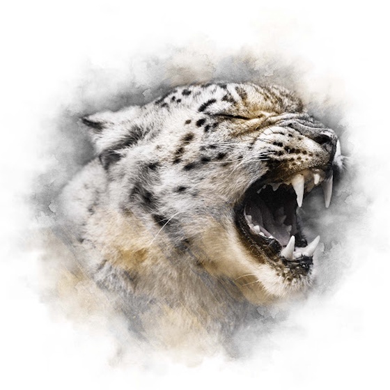 CREME SERIES - SNOW LEOPARD