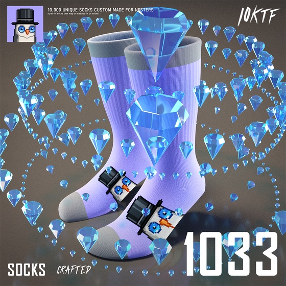Moonbird Crew Socks #1033