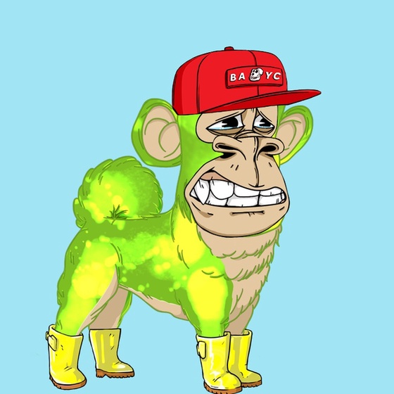 Kennel Ape #6816