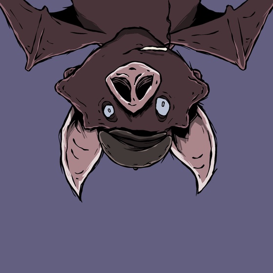 Moon Bats #6635