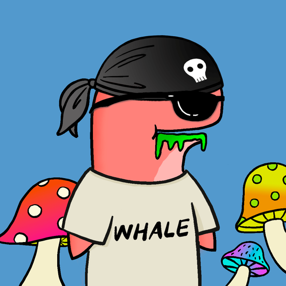 AlphieWhale #1388