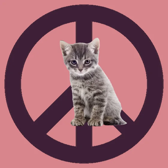 War, peace, and cat #468