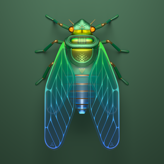 Cicada