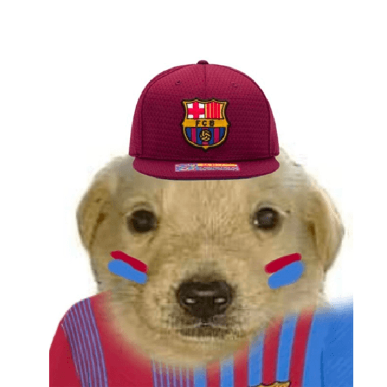 visca barca