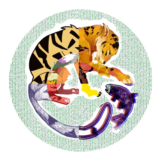 The Tiger & The Fish #412
