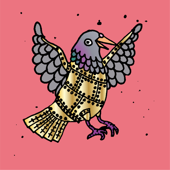 Hood Pigeon #2493