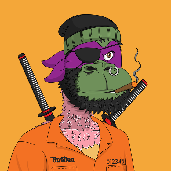 t00rtle #40