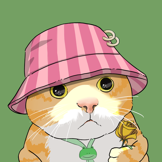 Puzzled cat #7115