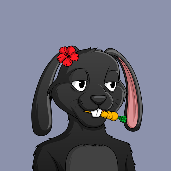 bunny #5050
