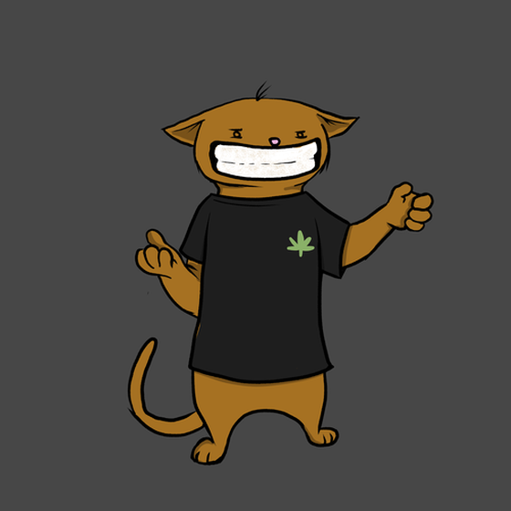 Blazed Cat #5912