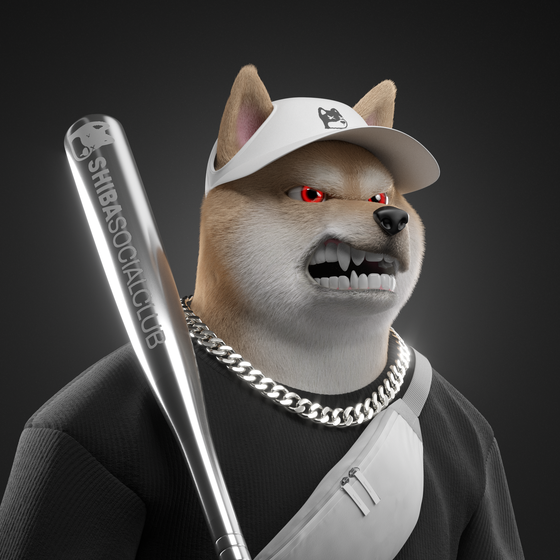 Shiba #6839