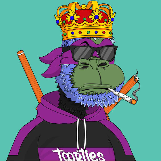 t00rtle #829