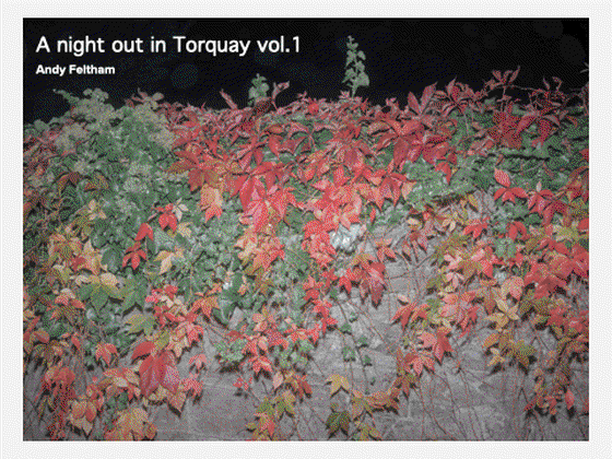 A night out in Torquay vol 1 #19/100