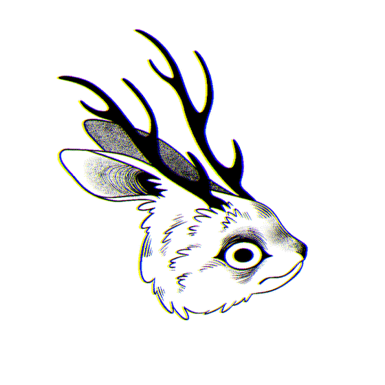 #254 Jackalope's Head