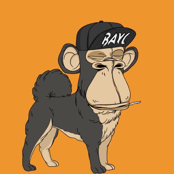 Kennel Ape #6558