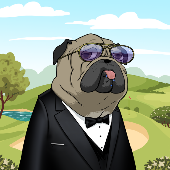 Mr. Pepperoni Dogesquire, the Shady Pug