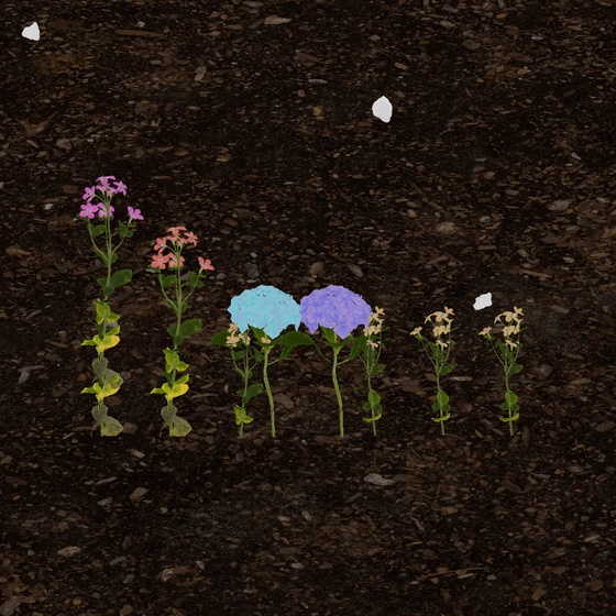 cashierx1.eth's Token Garden