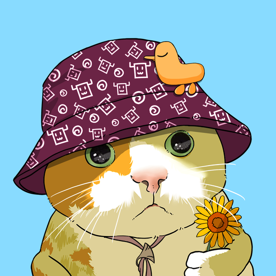 Puzzled cat #1234
