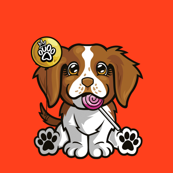 Brittany Spaniel 0297