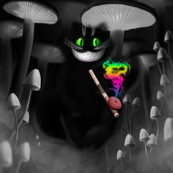 Opium Cheshire cat DNA#1089536