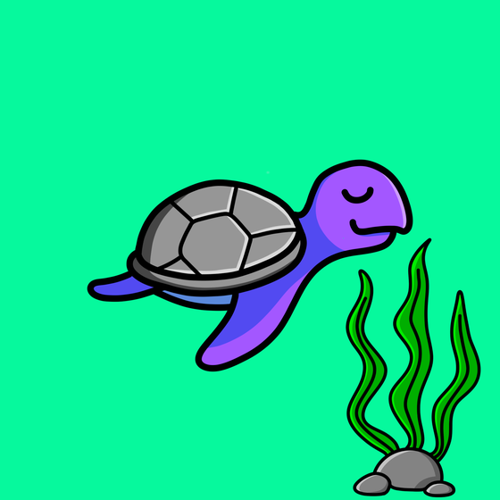 Toddler Turtle #639