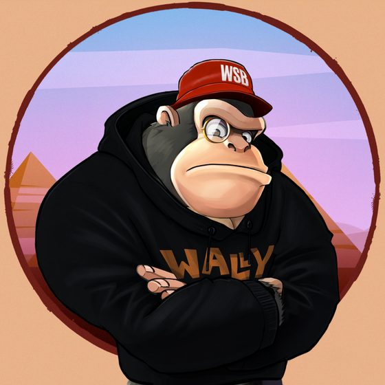 #3258 Wally's NFT Origins