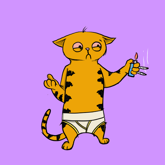 Blazed Cat #6711