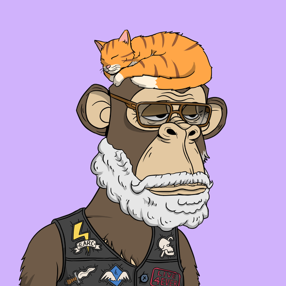 Elderly Ape #4833