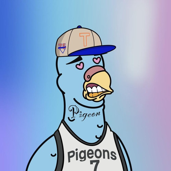 Pigeon #345