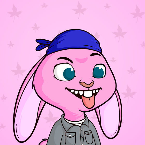 Super Rabbit #4536