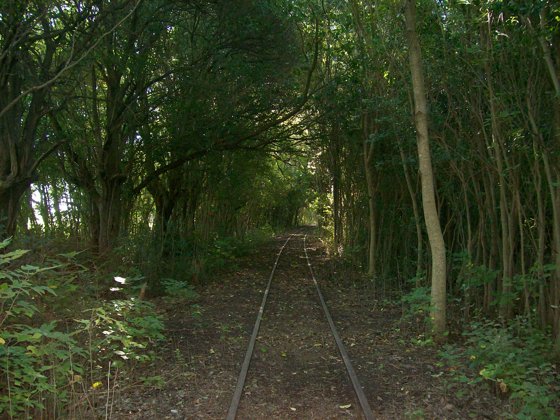 Tracks & Tunnel