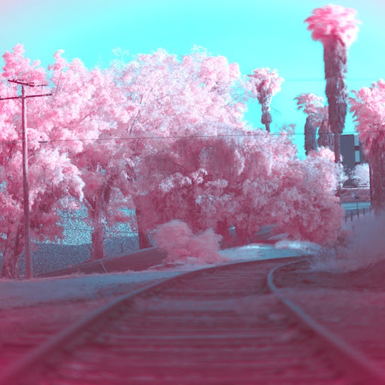 Infrared #2