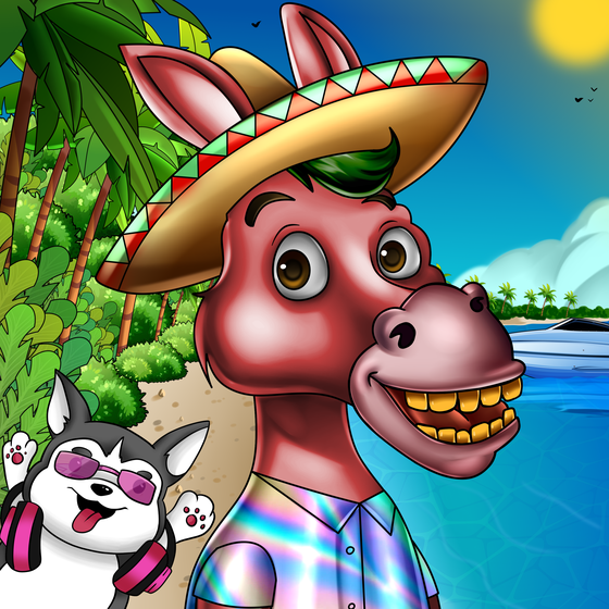 Sombrero Donkey #2889