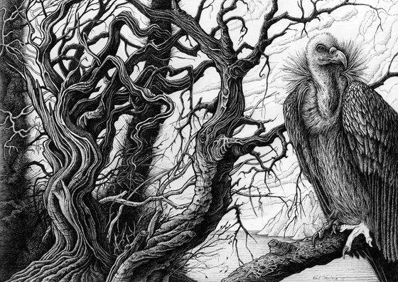 The Watcher & The Elephant Tree