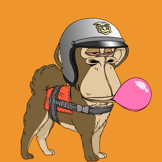 Kennel Ape #853
