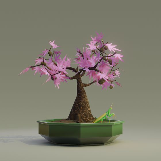 Bonsai #6798