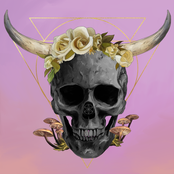 Sacred Skull #1264