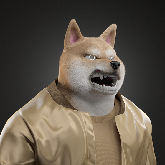 Shiba #7579