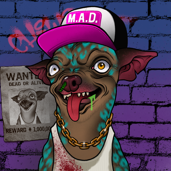 Mad Chihuahua #2918