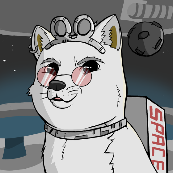DogeX#5841