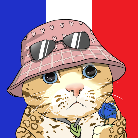 Puzzled cat #9249
