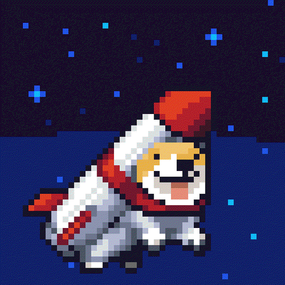 Space Shibe