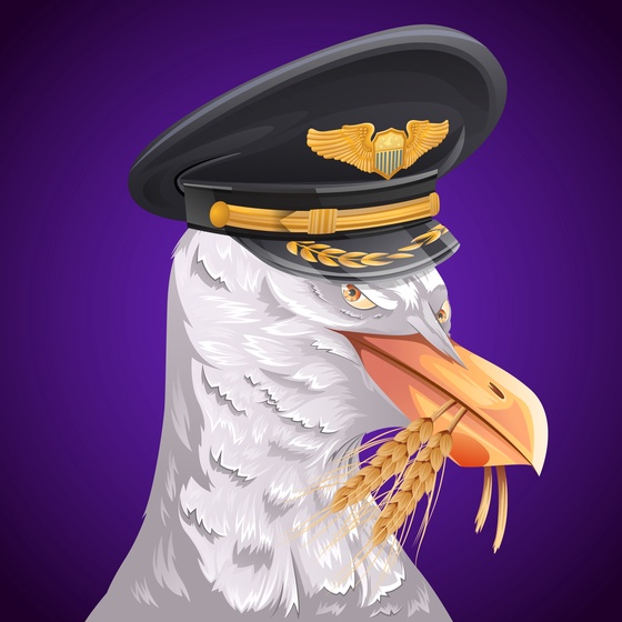#100 Seagull