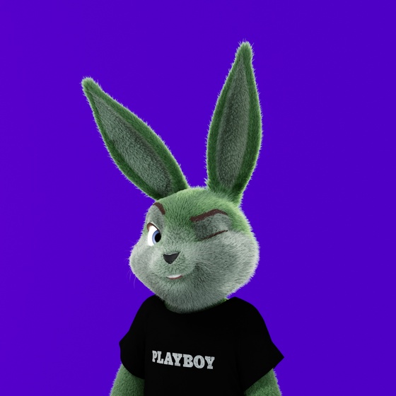 Rabbitar #10899